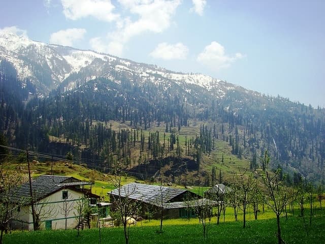 Rohtang Pass - Gulaba