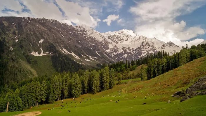 Himalayn National