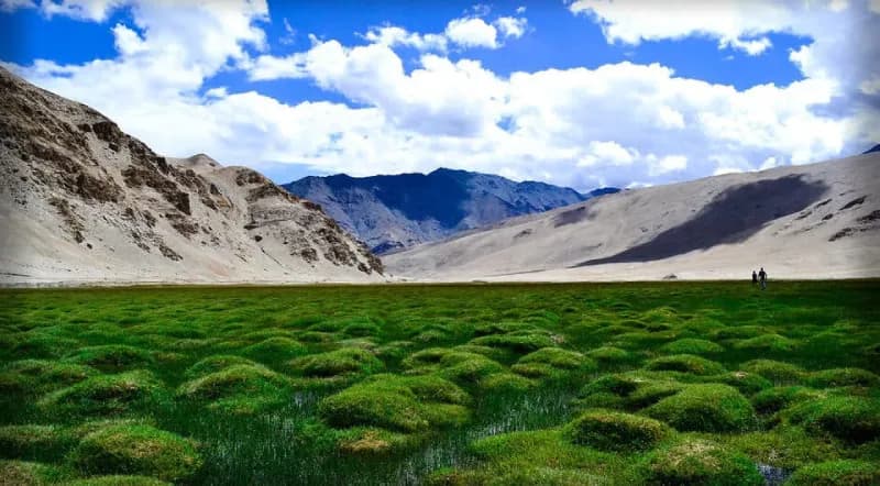 Puga Ladakh