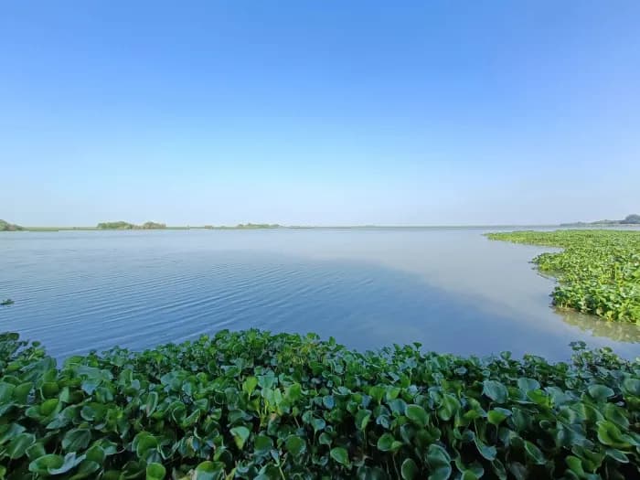 roparwetlands