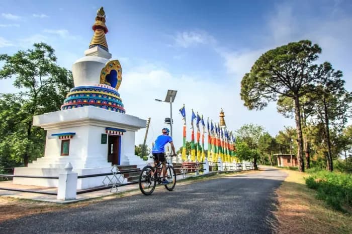 tibetcolony