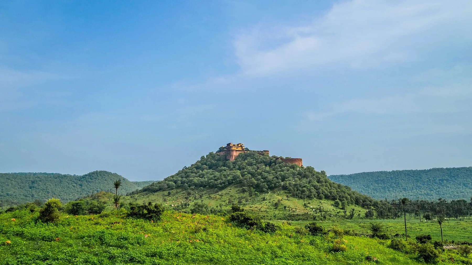Sohna Road Runs Into Tiger Country: Sariska by Car from Gurugram