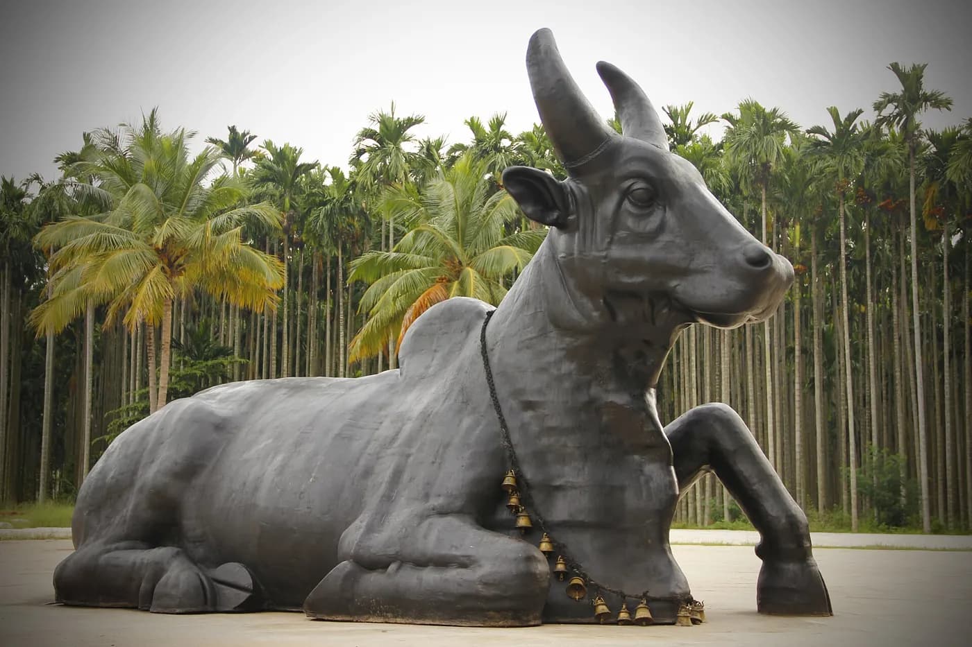 Nandi at the Isha Yoga Center