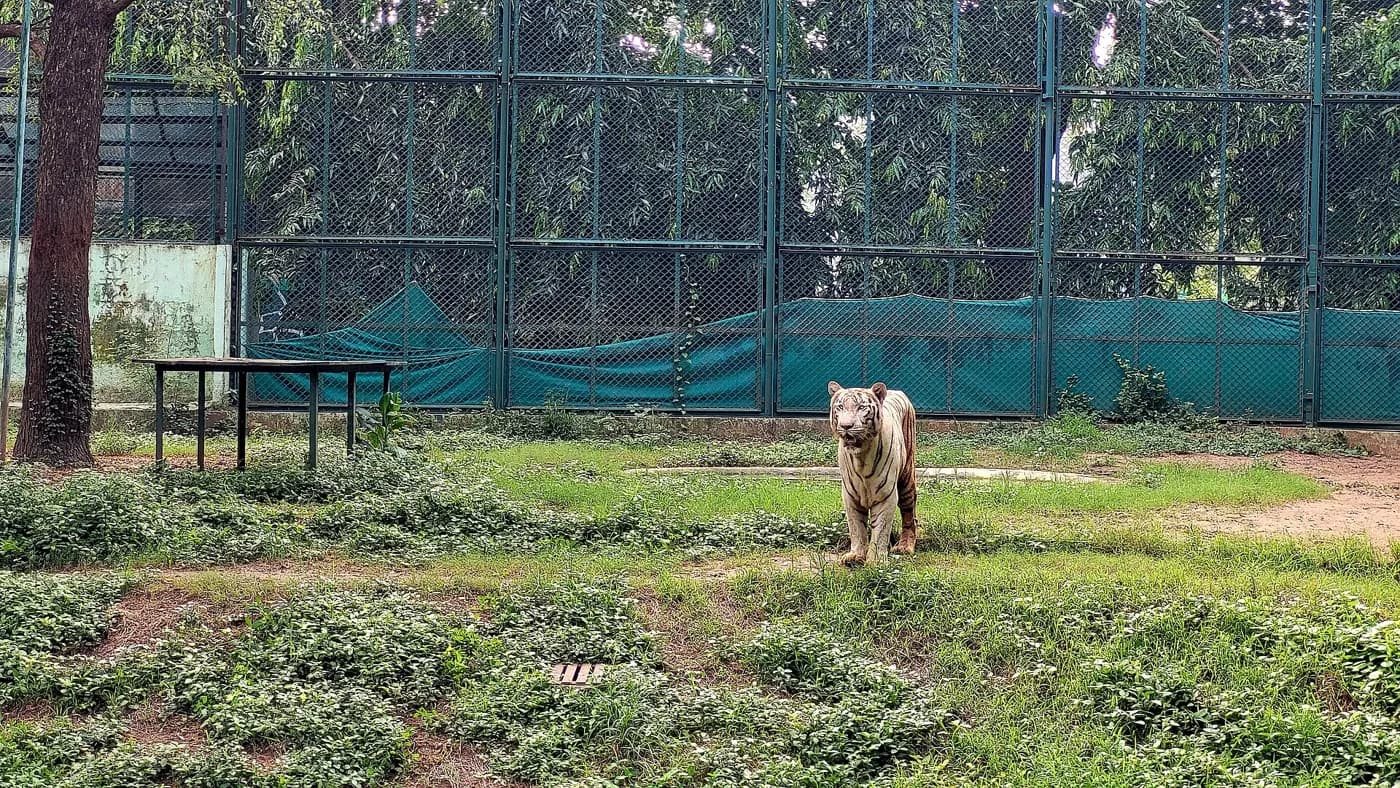 Sarthana Nature Park near Surat — top place to explore on a Hire N Ride trip