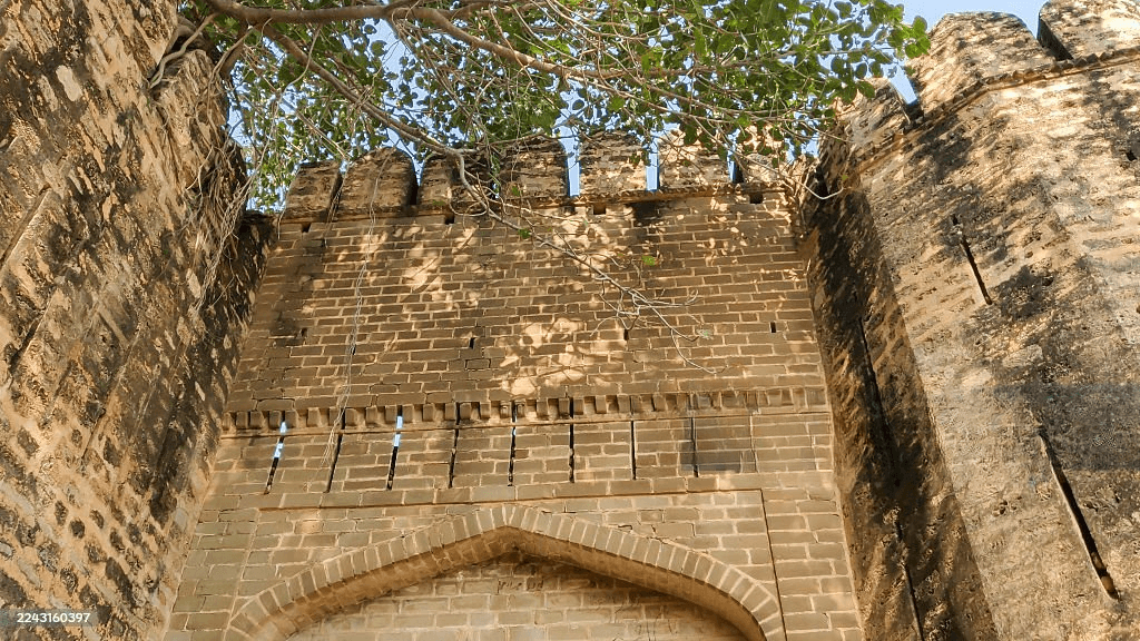 Anupgarh-Fort.