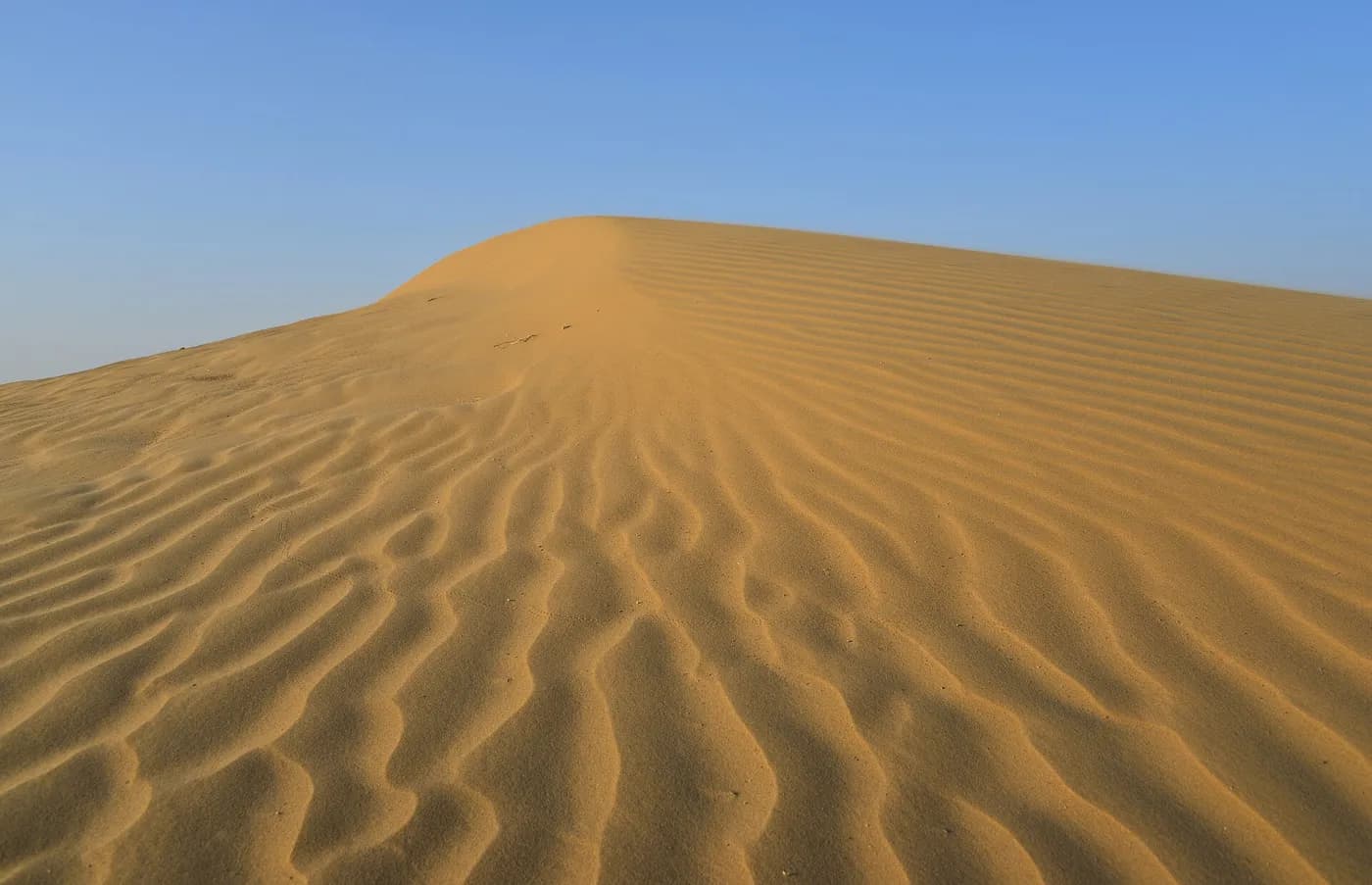 Sand dunes in the Thar Desert