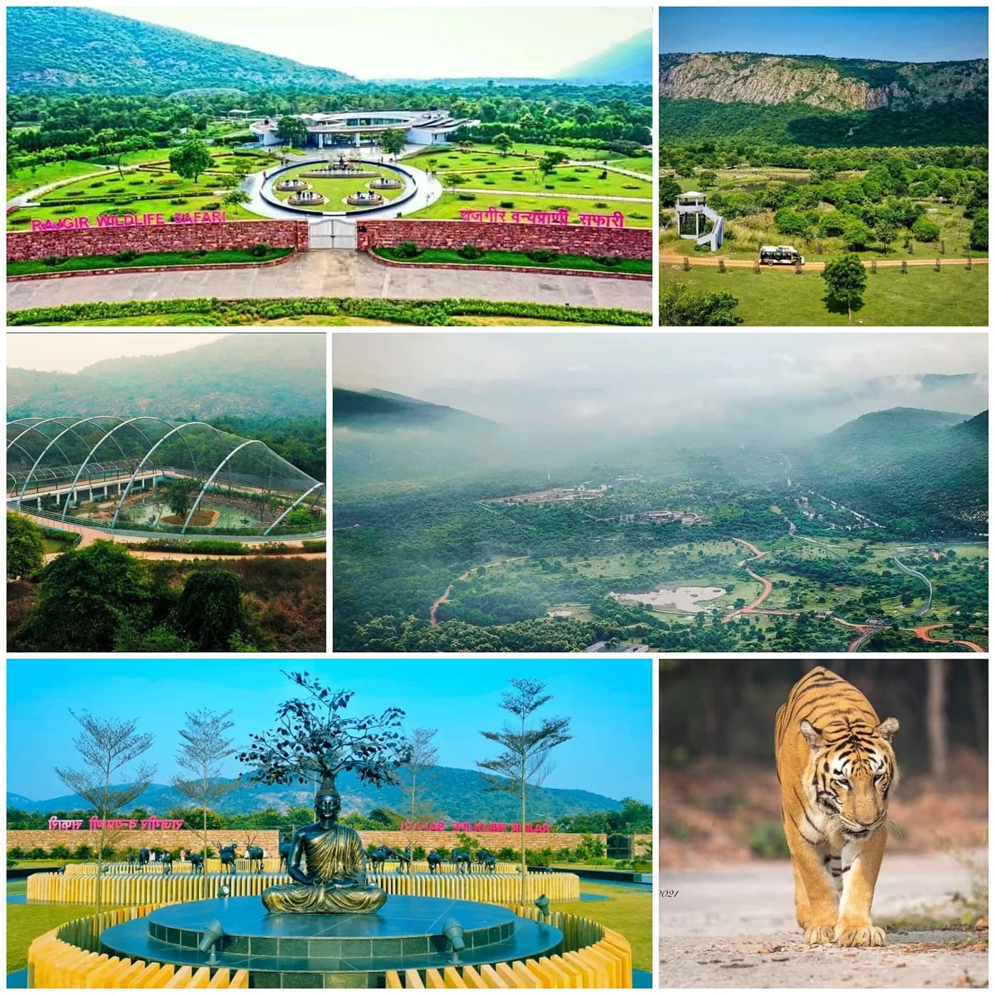 Rajgir Nature Safari near Patna — top place to explore on a Hire N Ride trip