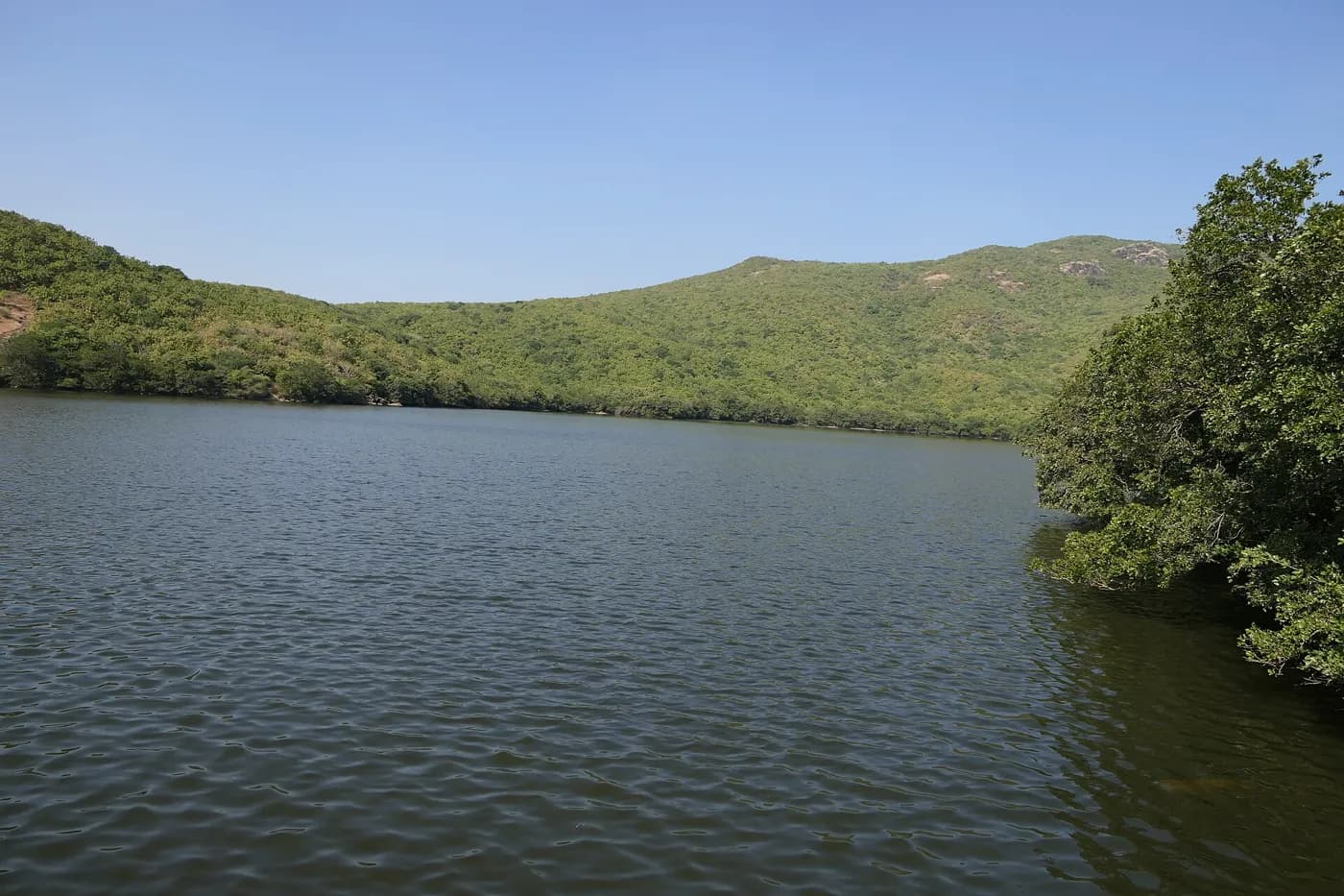 Willingdon Dam in Junagath — things to do on a Hire N Ride trip