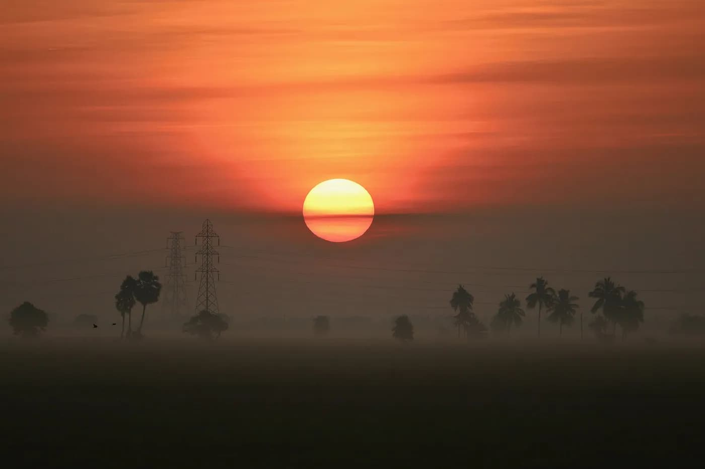 Sunrise over paddy fields near Eluru
