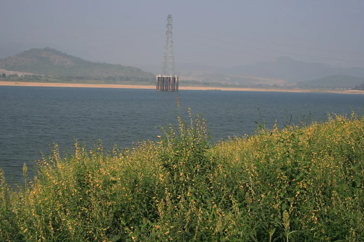A stretch of the Godavari river
