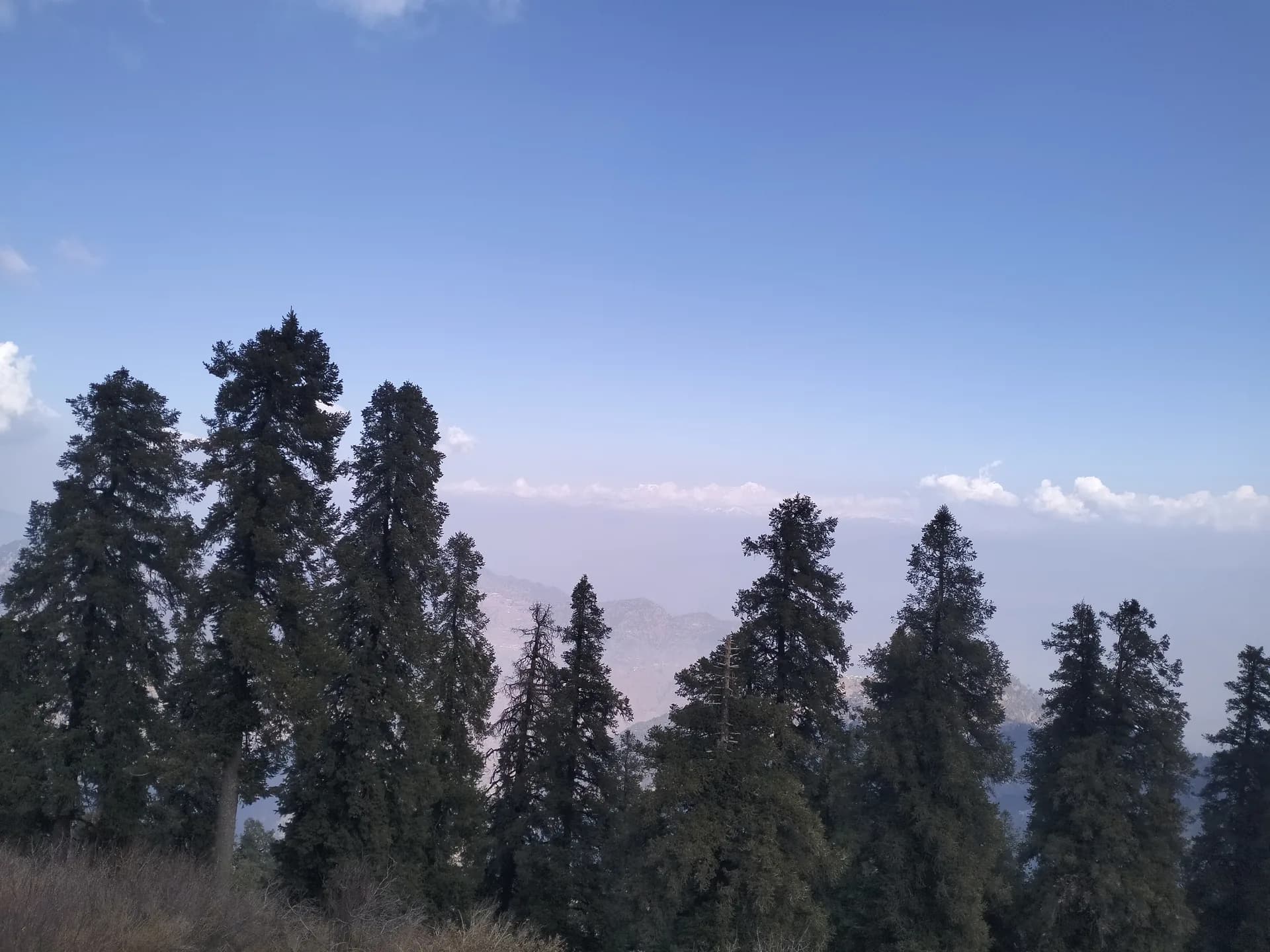 Library Chowk to Char Dukan: A Mussoorie Bike Afternoon That Works