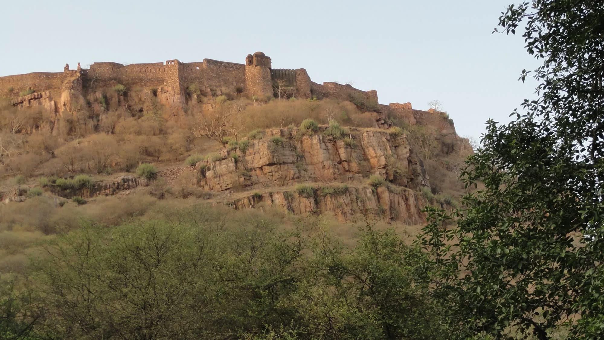 From Jaipur, Your Car Reaches Ranthambore and a Gypsy Finds the Tigers