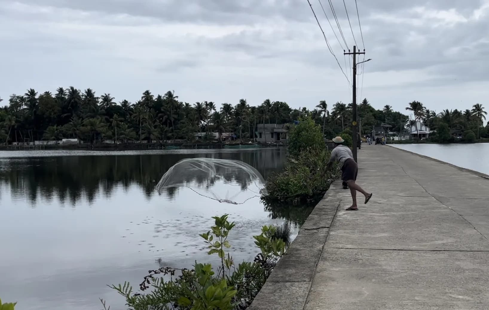 Pokkali, Herons and Island Lanes: Kadamakkudy by Bike from Cochin
