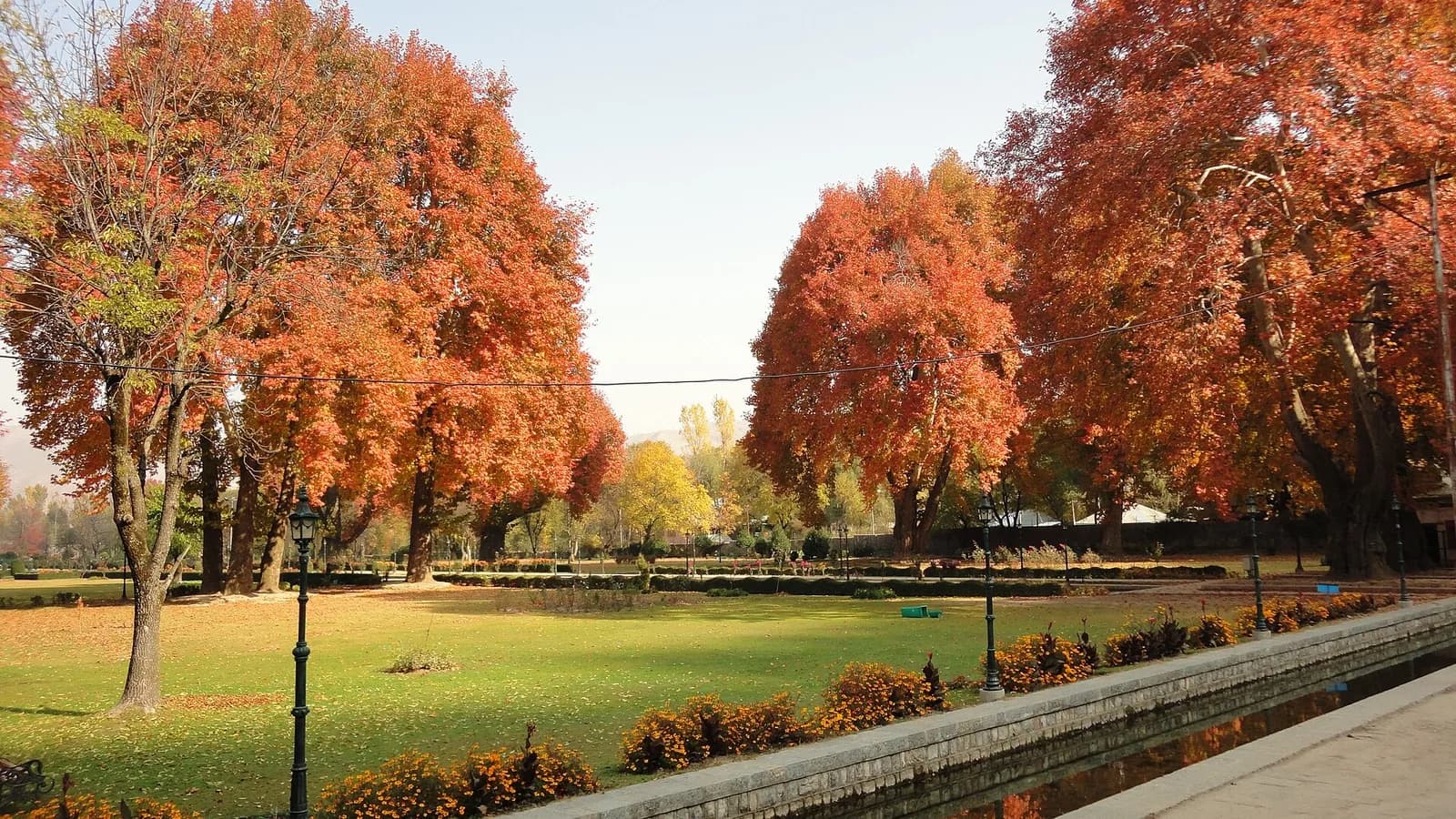 Chinar Season Has Reached the Mughal Springs South of Srinagar
