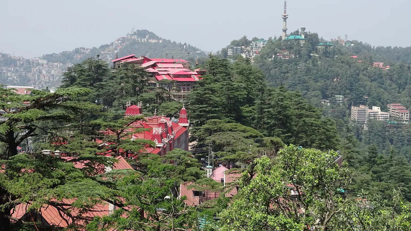 Drive Down to Shimla via Mandi, Come Back Over Jalori While It's Open