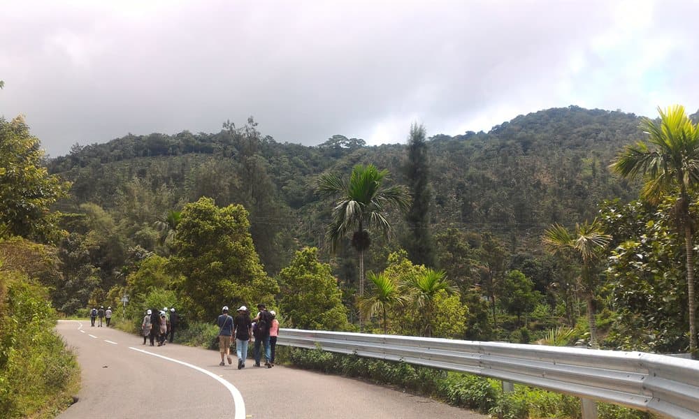 Take a Full-Day Ride to Ponmudi