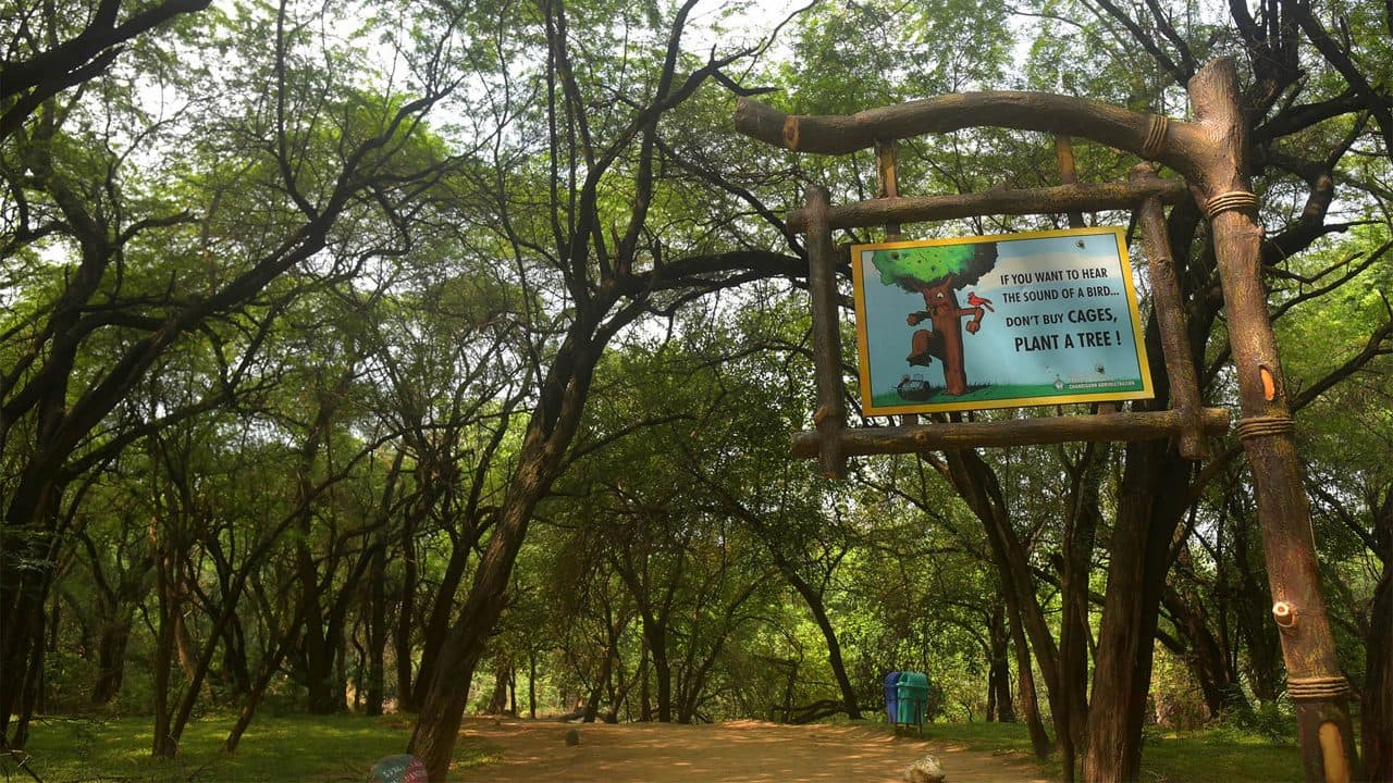 Sukhna Wildlife Sanctuary