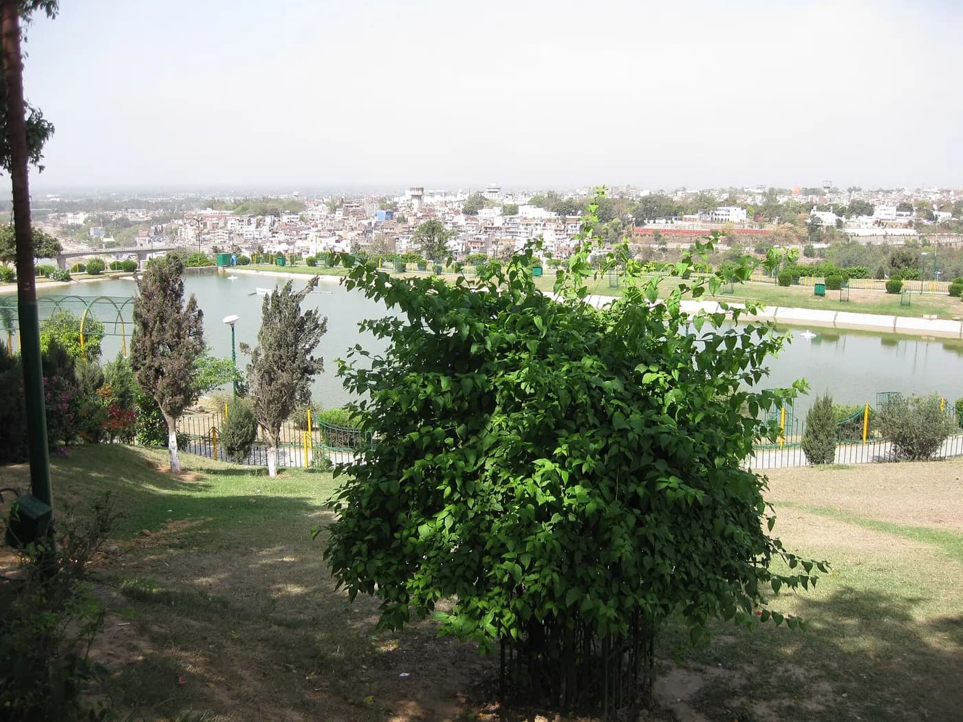 Bagh-e-Bahu in Jammu — things to do on a Hire N Ride trip