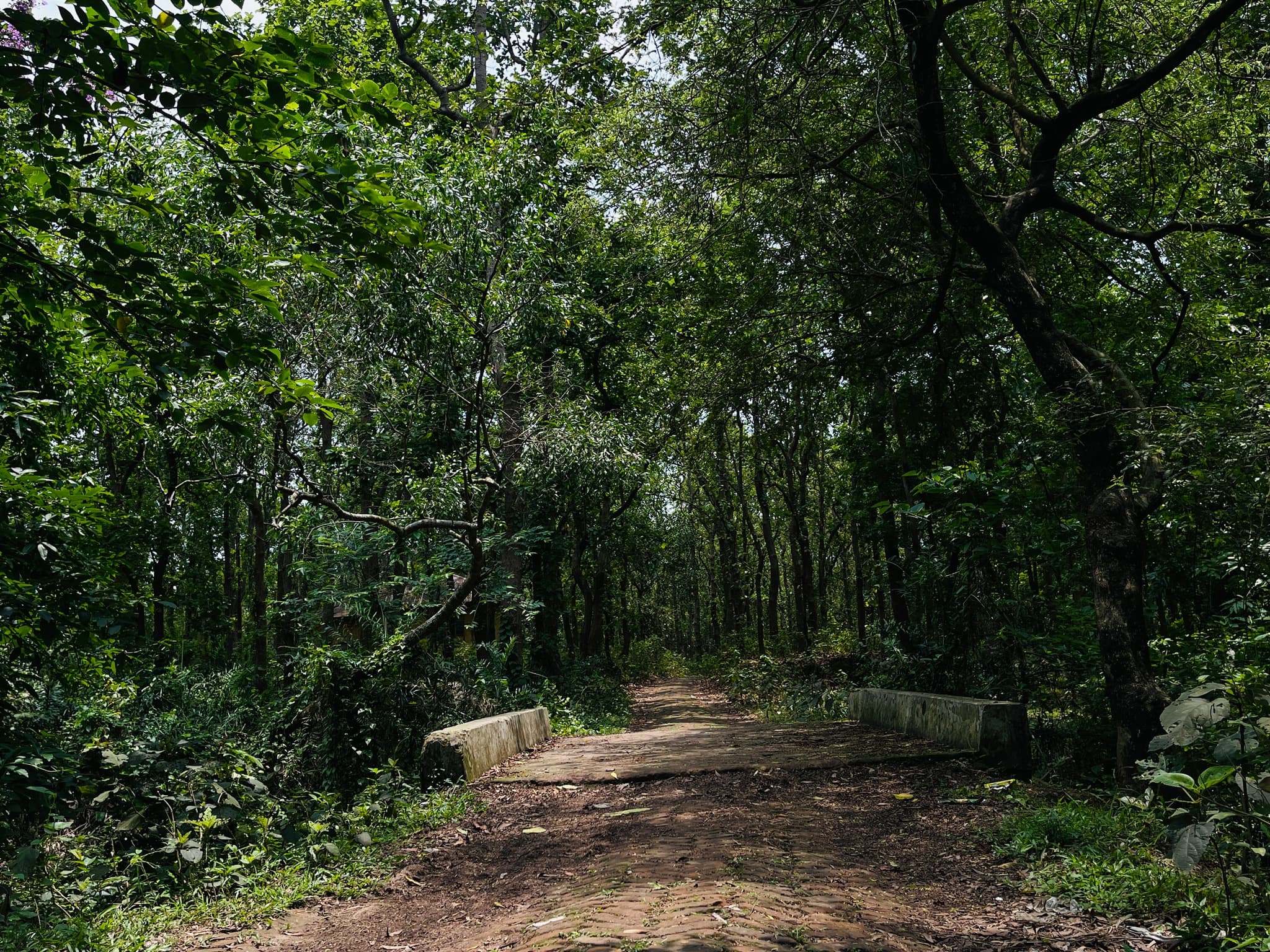 Nature Escapes Around Bhubaneswar in Bhubaneswar — things to do on a Hire N Ride trip