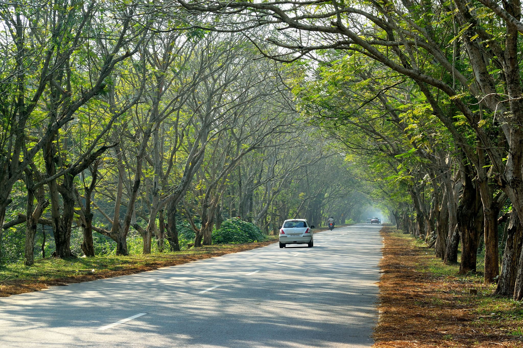 Plan a Family Getaway with Your Family Car Rental Bangalore in Bangalore — things to do on a Hire N Ride trip