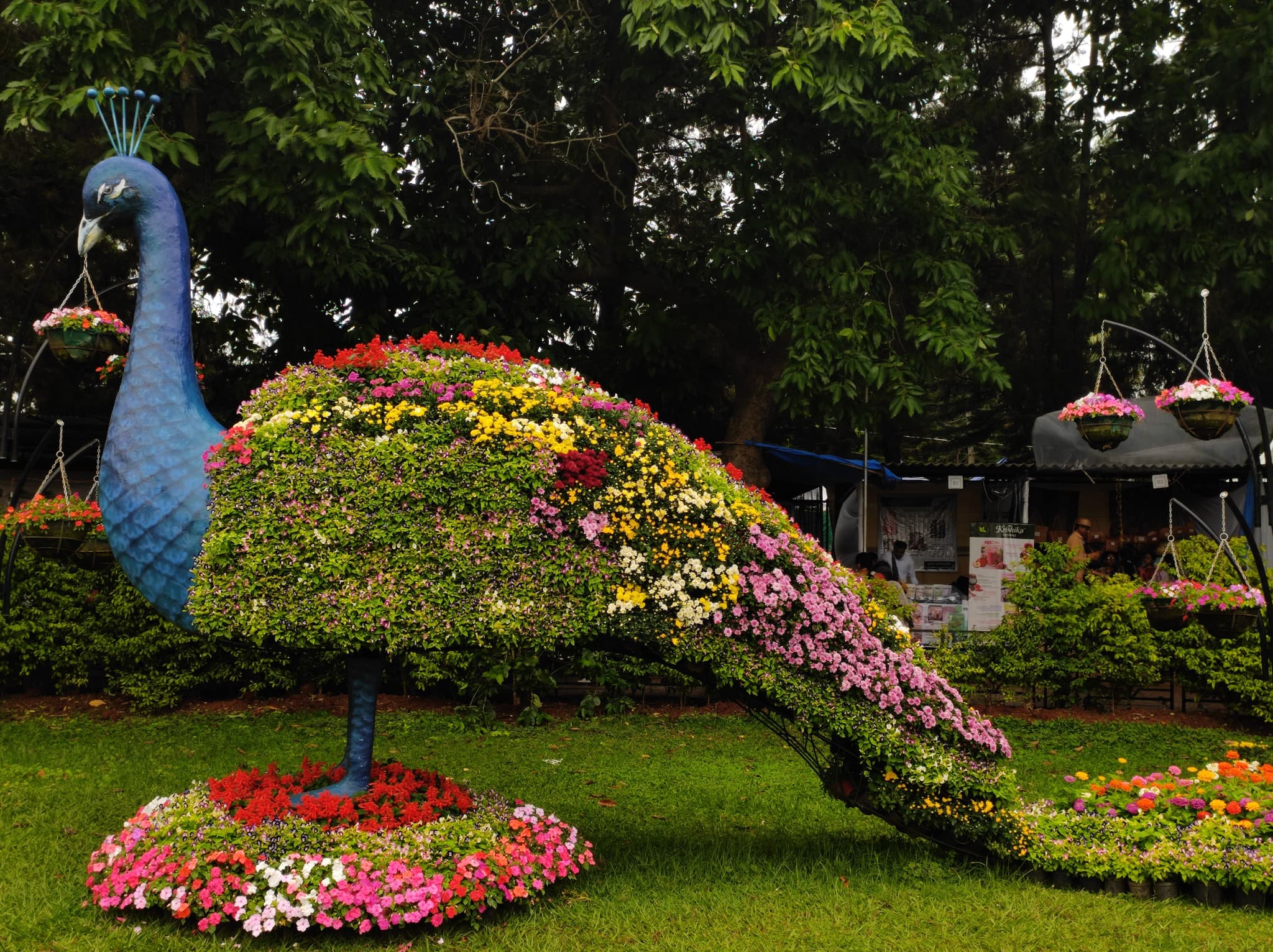 Discover Lalbagh Botanical Garden in Bangalore — things to do on a Hire N Ride trip
