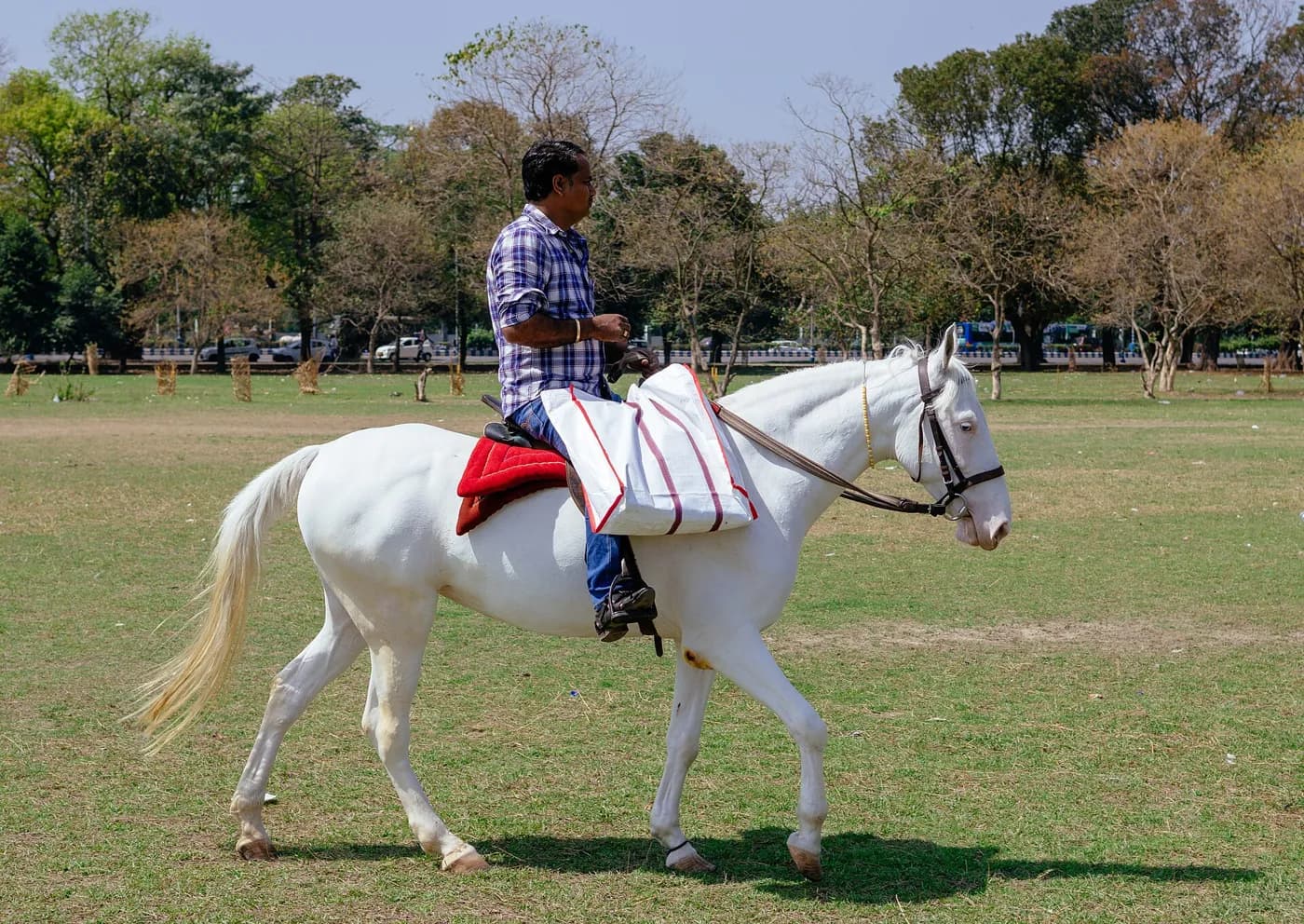 Mornings on the Maidan in Kolkata — things to do on a Hire N Ride trip