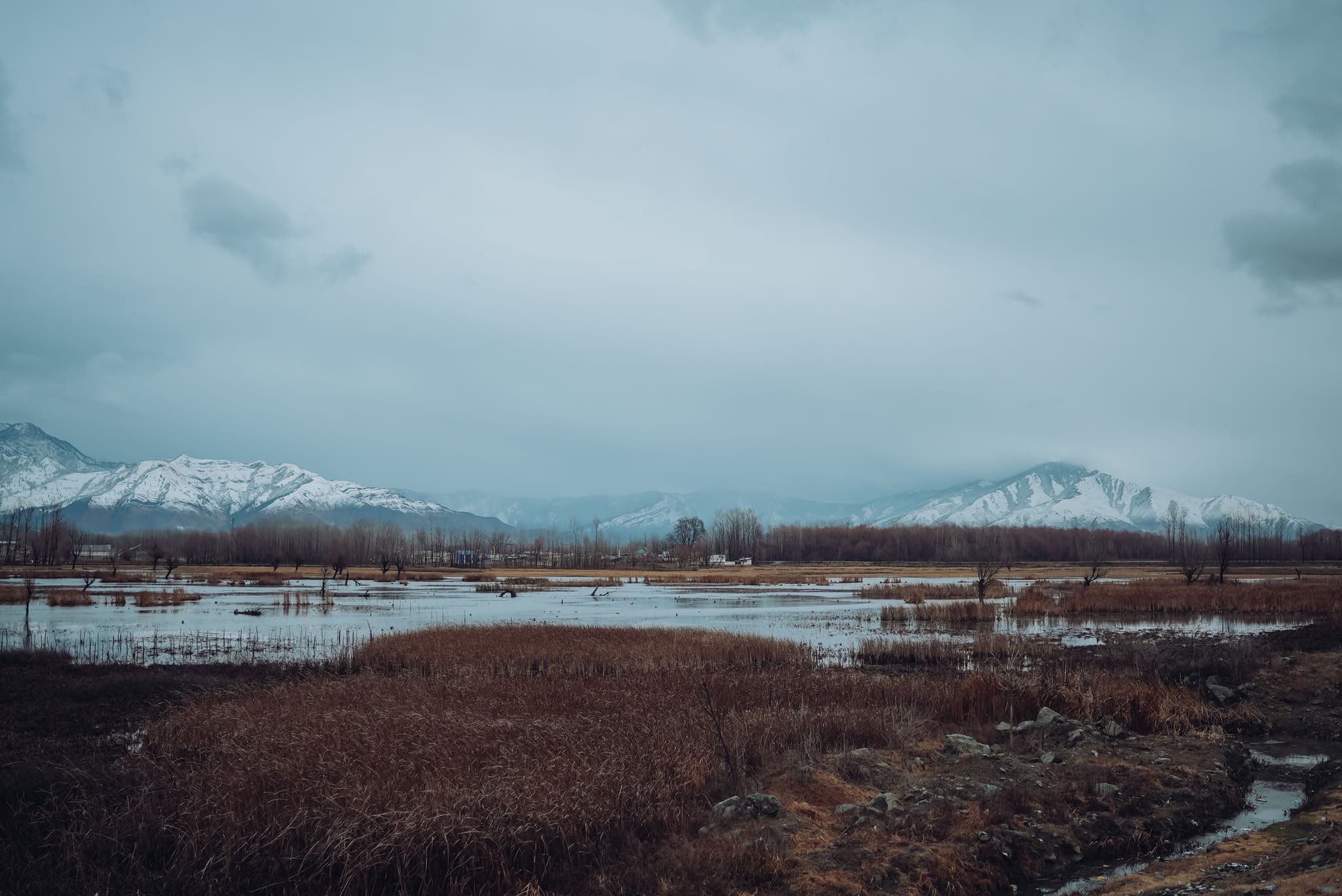 Capture Kashmir's Beauty in Srinagar — things to do on a Hire N Ride trip