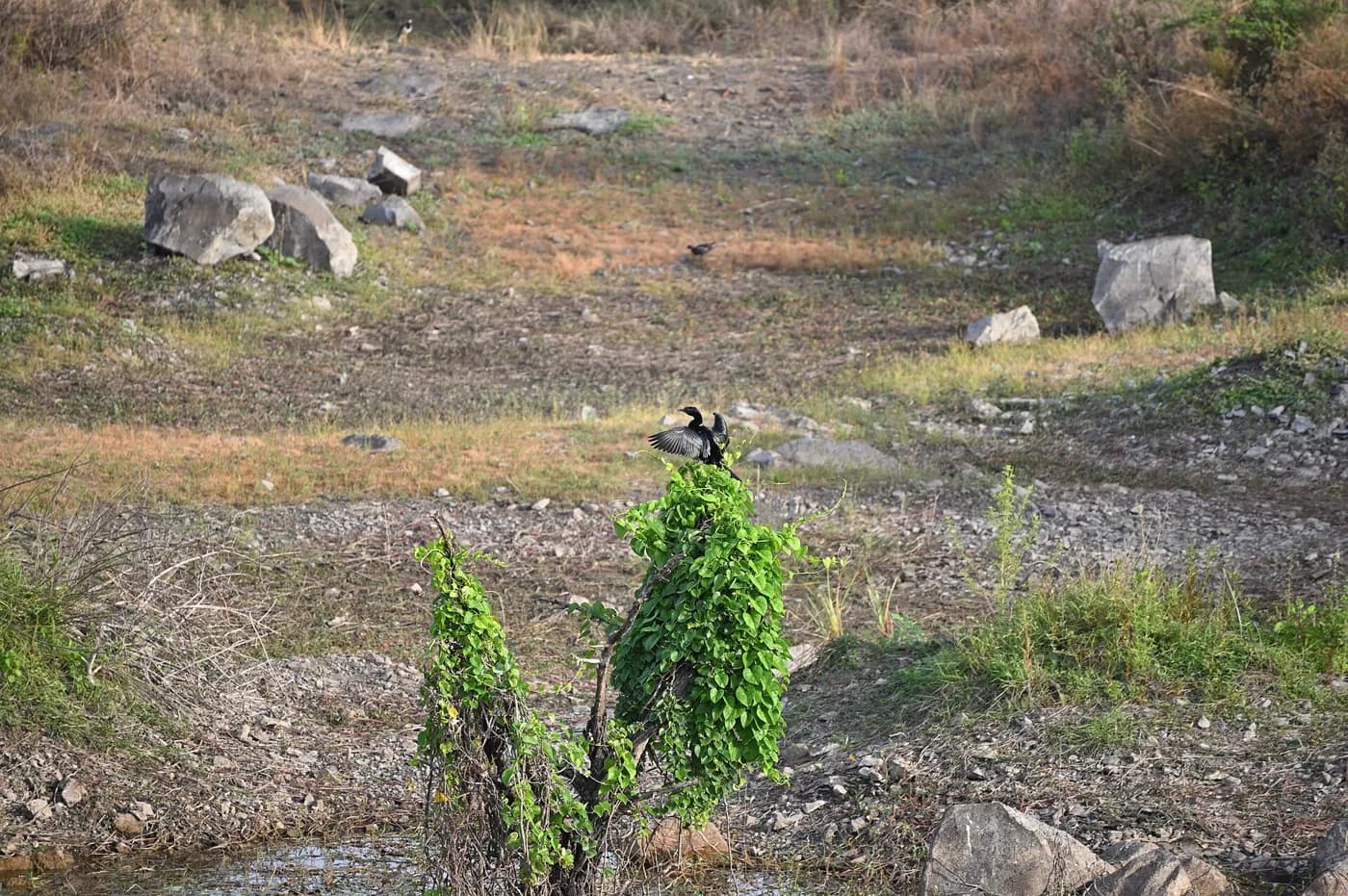 Vetal Tekdi Sunrise in Pune — things to do on a Hire N Ride trip