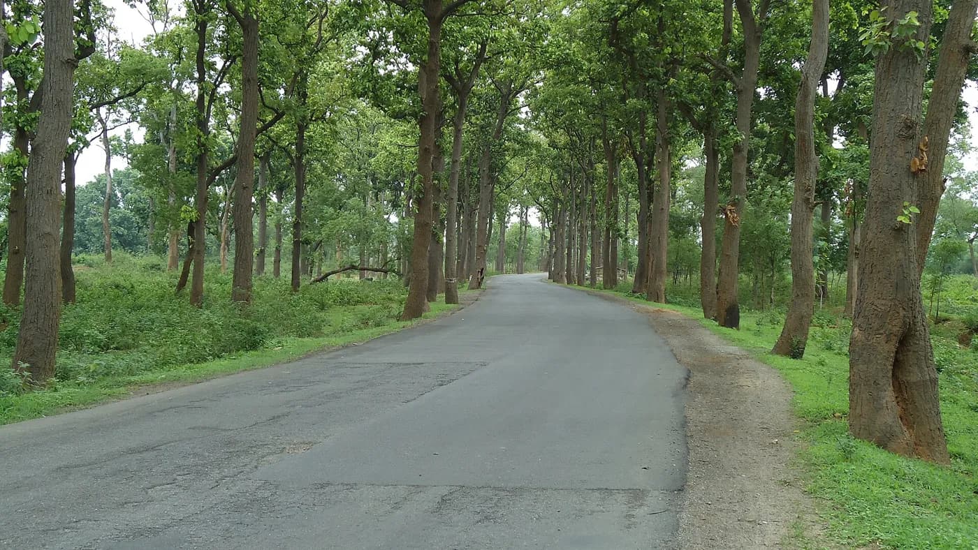 Forest Roads in Ranchi — things to do on a Hire N Ride trip