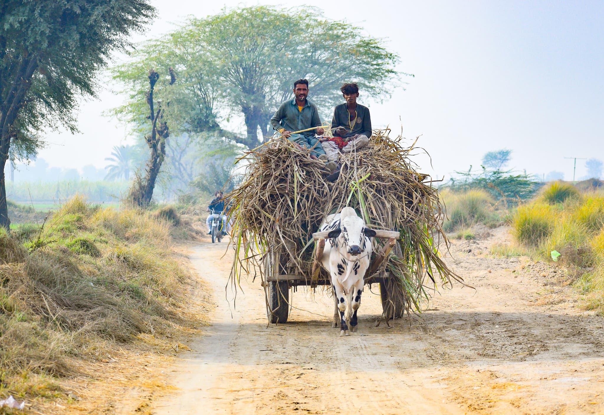 Rural Rides and Farm Visits in Sri Ganganagar — things to do on a Hire N Ride trip
