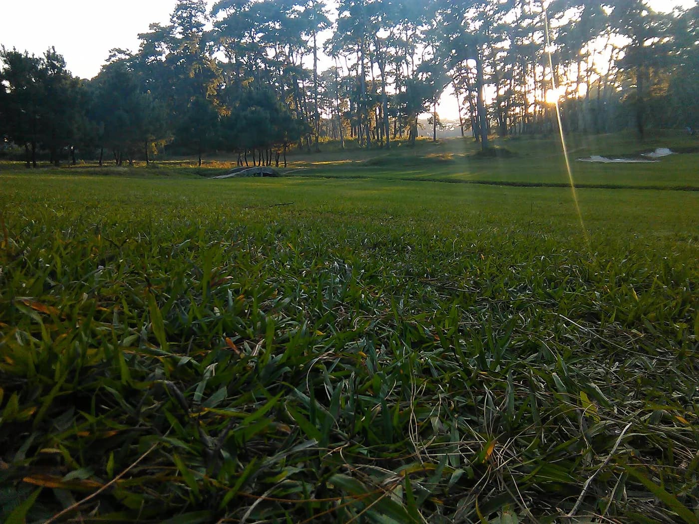 Golf Links and Pine Woods in Shillong — things to do on a Hire N Ride trip