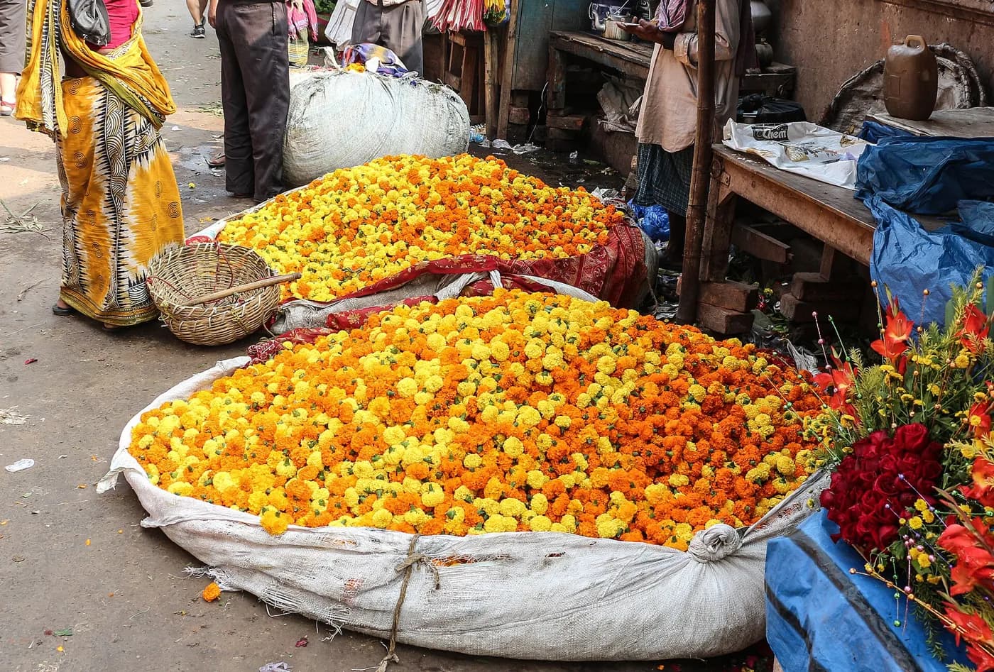 Mallick Ghat Flower Market in Howrah — things to do on a Hire N Ride trip