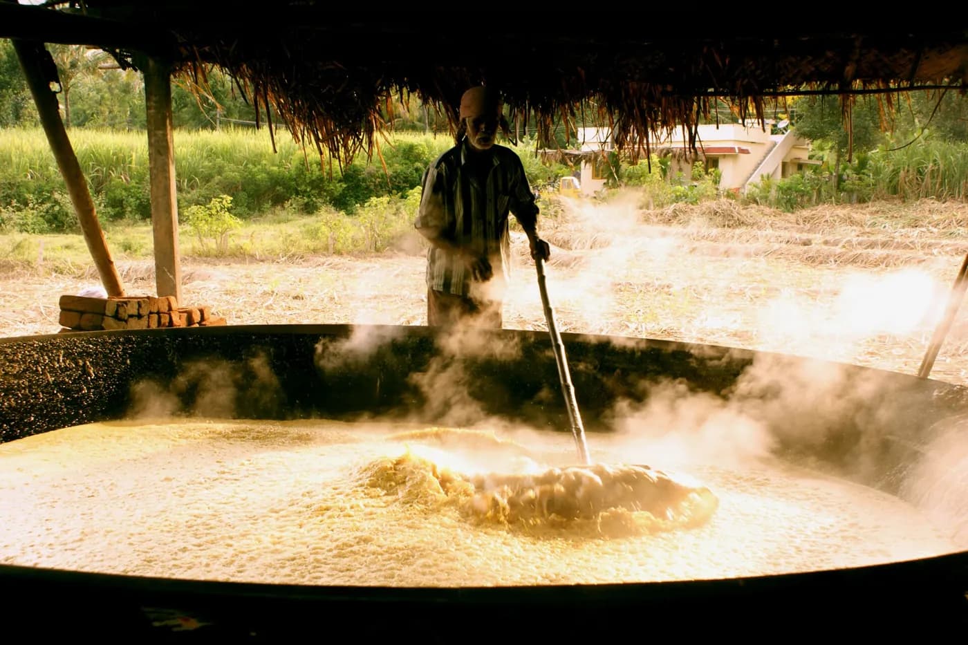 Market Morning in Muzaffarnagar — things to do on a Hire N Ride trip