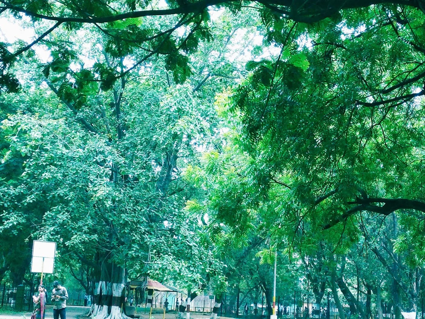 Evening at Maitri Bagh in Kumhari — things to do on a Hire N Ride trip