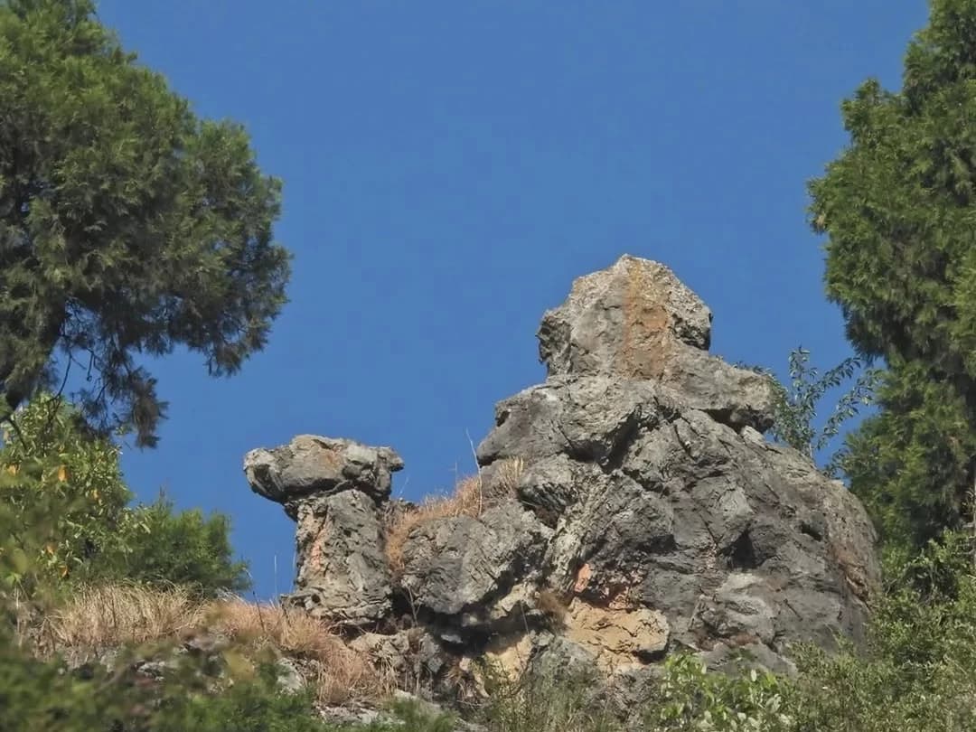 Camel's Back Road near Mussoorie — top place to explore on a Hire N Ride trip